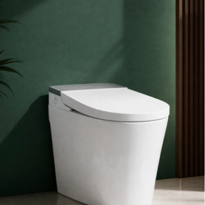 Smart Toilet